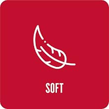 Leader-Icon_Soft