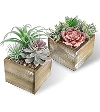 https://m.media-amazon.com/images/S/aplus-media-library-service-media/3aae72fa-2226-417e-84ef-72f823d462d6.__CR0,0,800,900_PT0_SX200_V1___.jpg