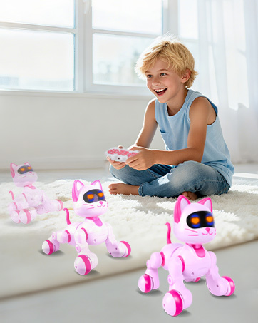 remote control robot cat toys