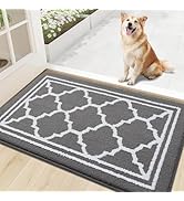 Buganda Indoor Door Mat, Resist Dirt and Absorbent Entrance Mat, Anti-Slip, Low Profile Inside Fl...