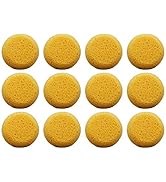 Pack of 12 Synthetic Sponges - 2-1/2 Inch Round Craft Sponge for Leather Care, Horse Tack Mainten...