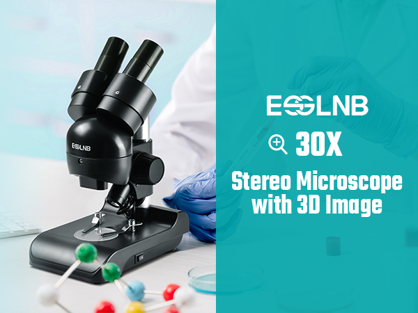 Mounted Binocular Stereo Microscope