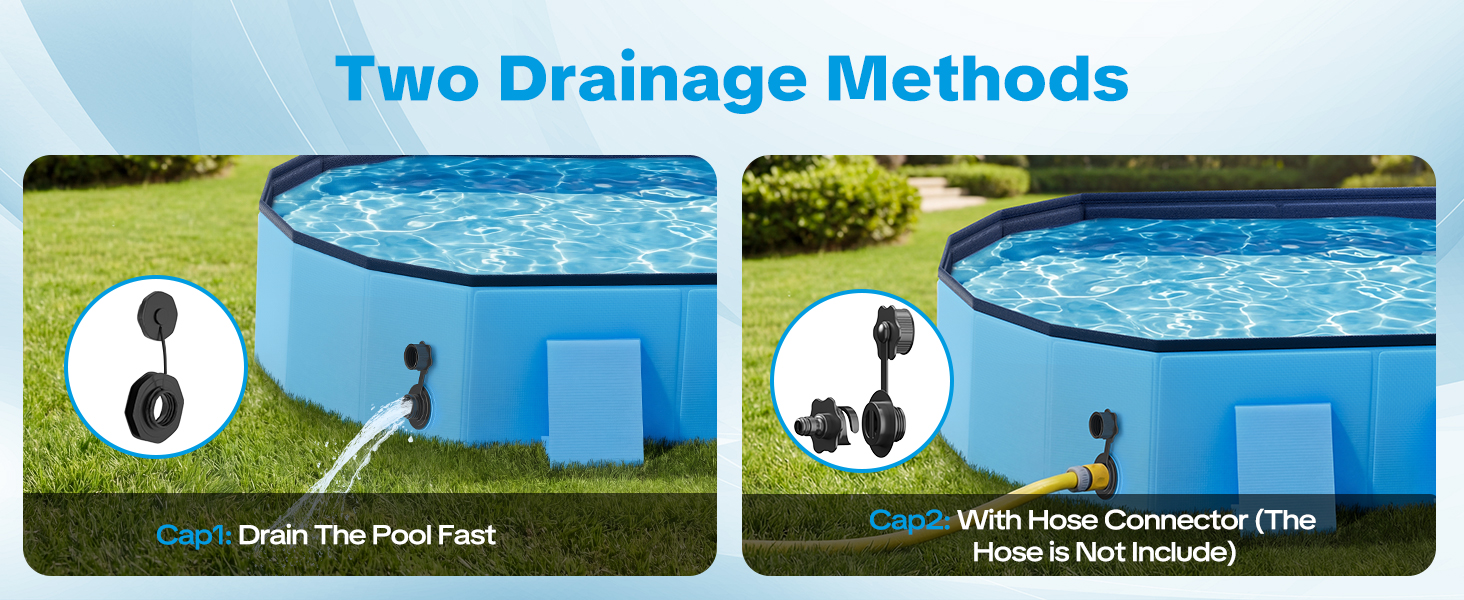 Dog Pool