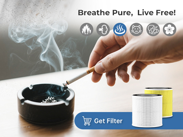 air purifiers for smoke