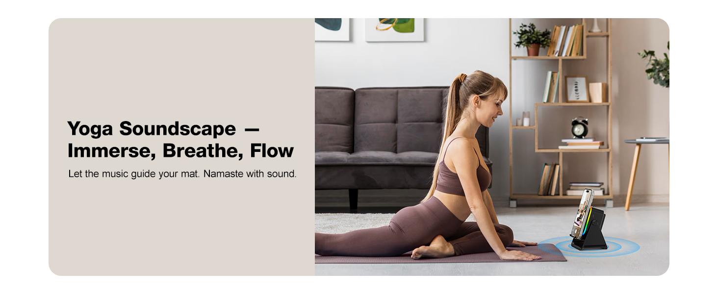 Wireless Induction Speaker