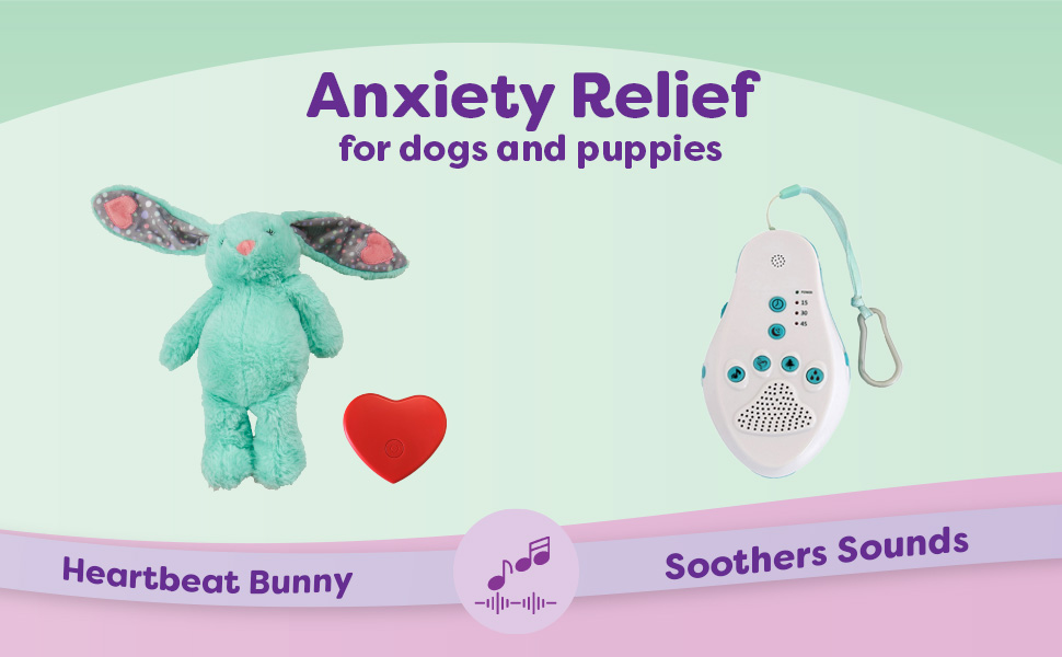 heartbeat puppy for dogs puppy heartbeat toy thundershirt ccomfort calms music petting scared dog