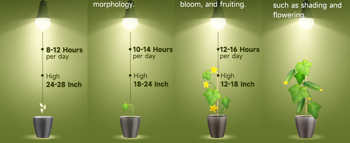 Full Spectrum Light Bulb
