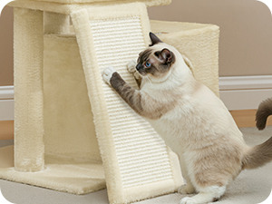 Cat scratching post or furniture showing beige sisal-wrapped posts and platforms. Multiple views show a cat interacting with the structure.