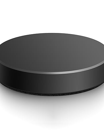 Record Weight Stabilizer