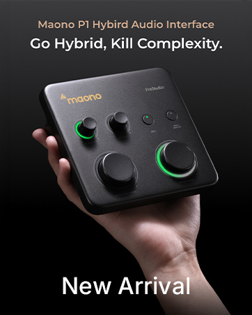P1 USB Audio Interface