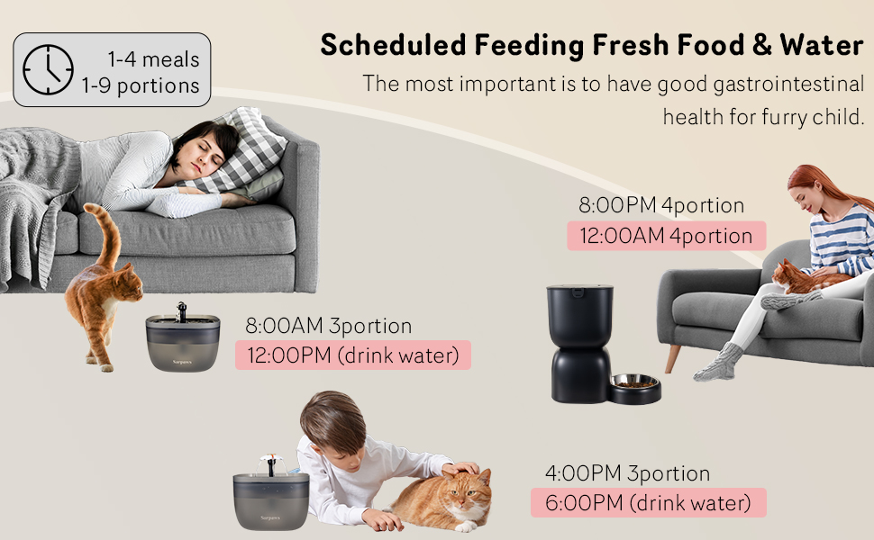 automatic cat feeder