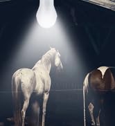 solar light bulbs indoor