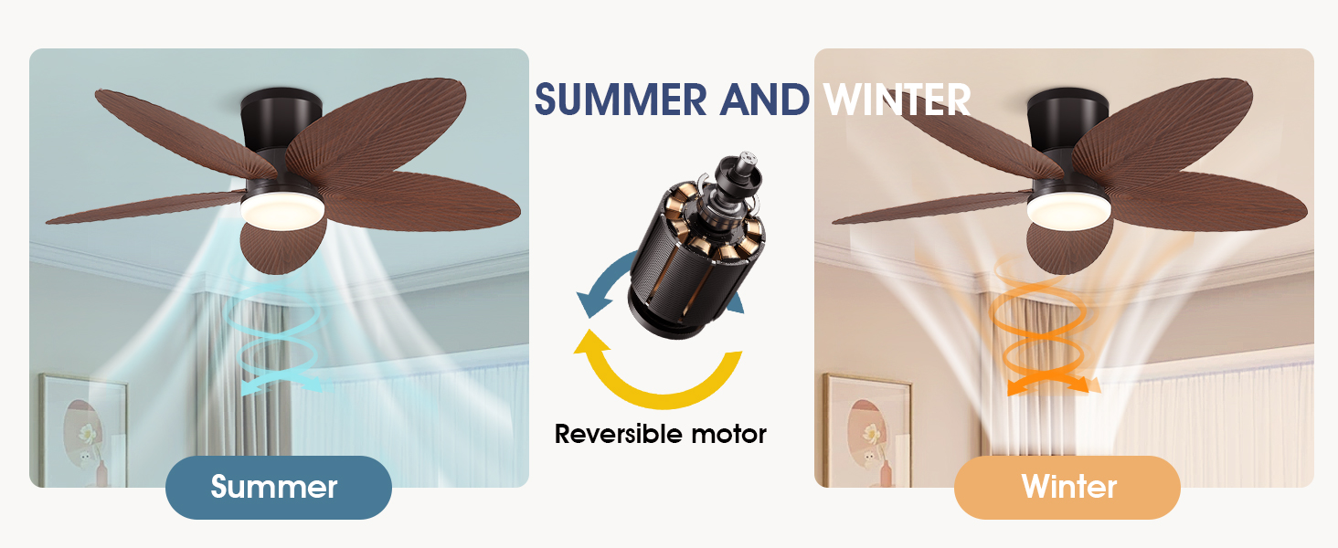 ceiling fan