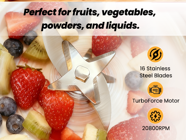 Portable Blender Personal Blender for Shakes and Smoothies with 16 Blades Small Mini Juicer