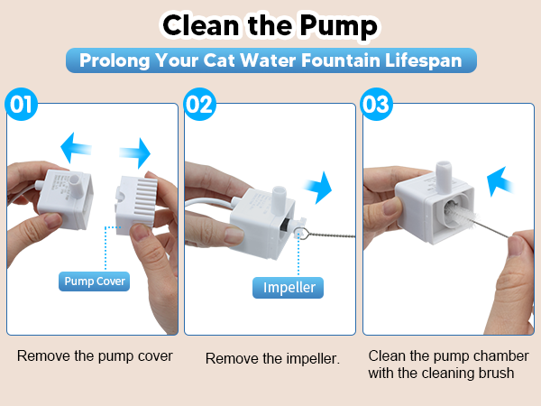 cat water fountain of indoor