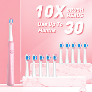 10 brush head