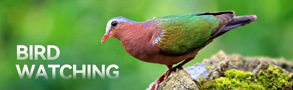 Perfect for Bird Watching, Hunting, Hiking