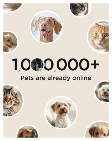 Smart pet camera for monitoring dogs and cats at home