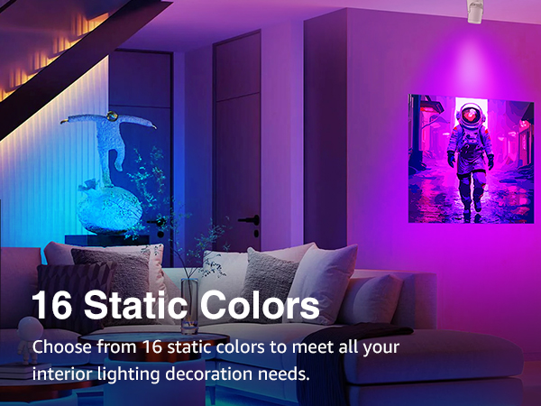 URTOM RGBW Uplighting Indoor-16 Static Colors