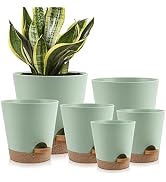 YNNICO Indoor Self Watering Planters with Drainage Holes and Saucers, 8, 7, 6.5, 6, 5.5, 5 Inches...