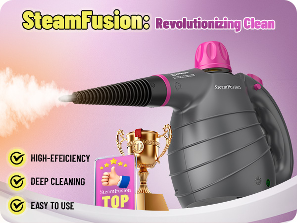 steam cleaner
