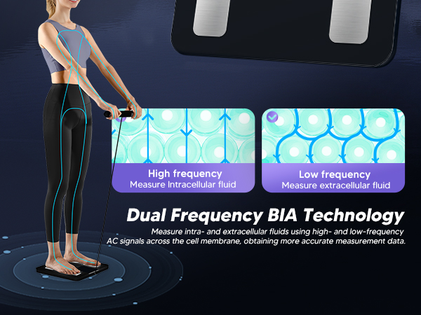 Dual Frequency BIA Measurement body composition scale