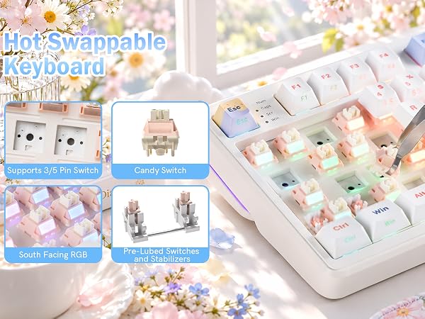 HOT SWAPPABLE