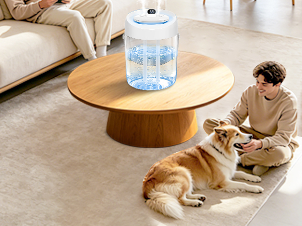 Portable Small Humidifier for Bedroom, Aroma Diffuser Personal Desktop Plant Humidifier Indoor