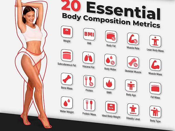 bisonbody digital smart scale basic body scales for weight fat bmi percentage monitor composition