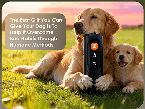 Dog Bark Deterrent Device