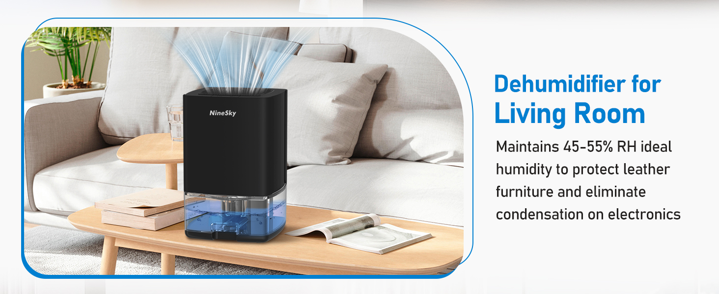 Dehumidifier