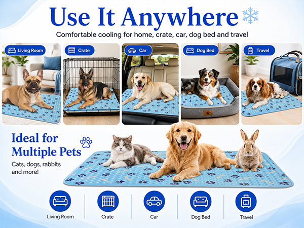 cooling gadgets for dogs