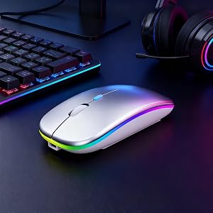 mouse