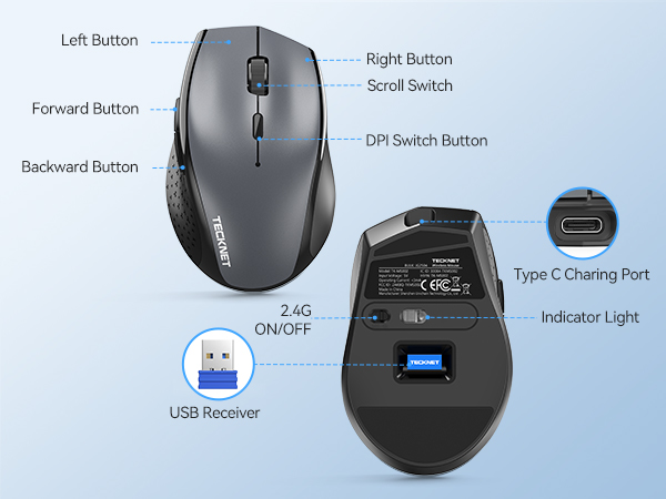mouse