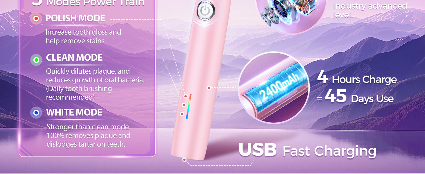 Rotating Electric Toothbrush