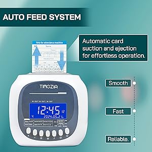 Auto Feed System