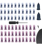 Bawkars 61 PCS Tire Repair Rubber Nail Kit, Vacuum Tire Repair Kits Spiral Rubber Screws, Fast Se...