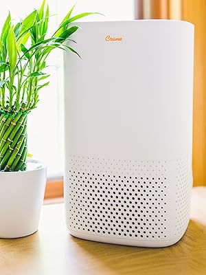 Air Purifierw 