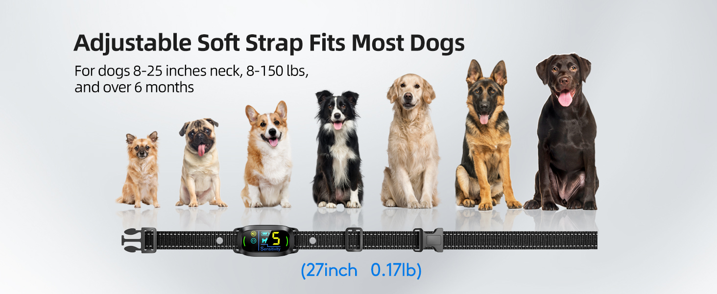 bark collar