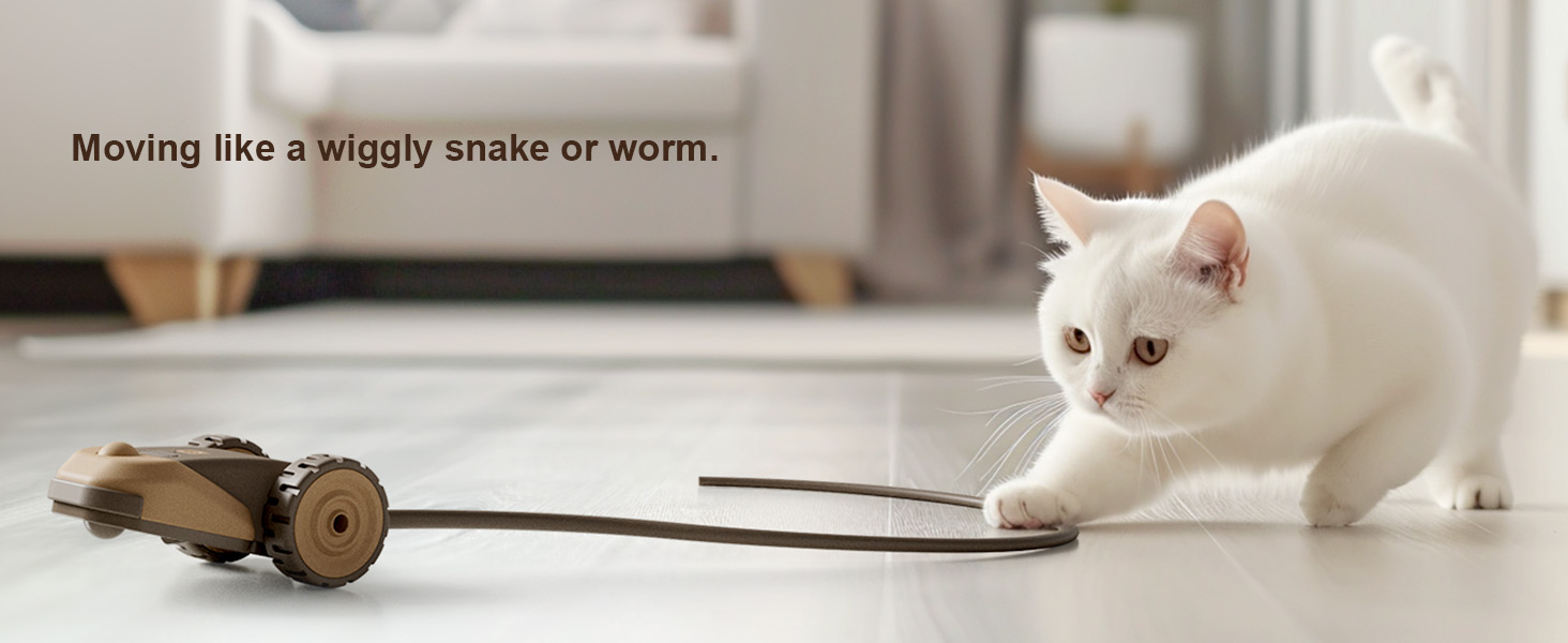 Interactive Cat Toy