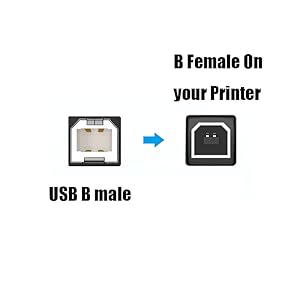 USB B male