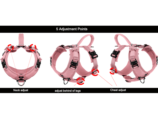 dog vest adjust