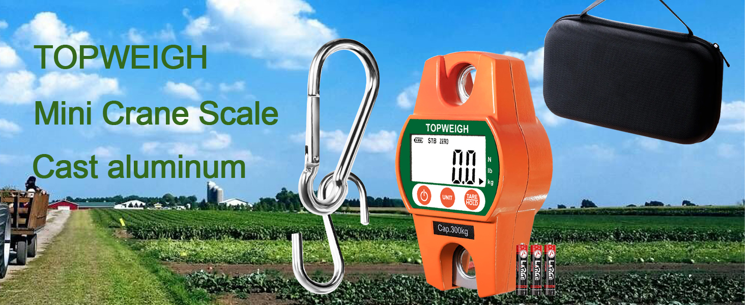 mini crane scale