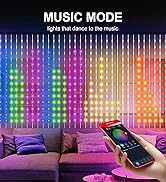 Data Fireflies Smart Curtain String Lights