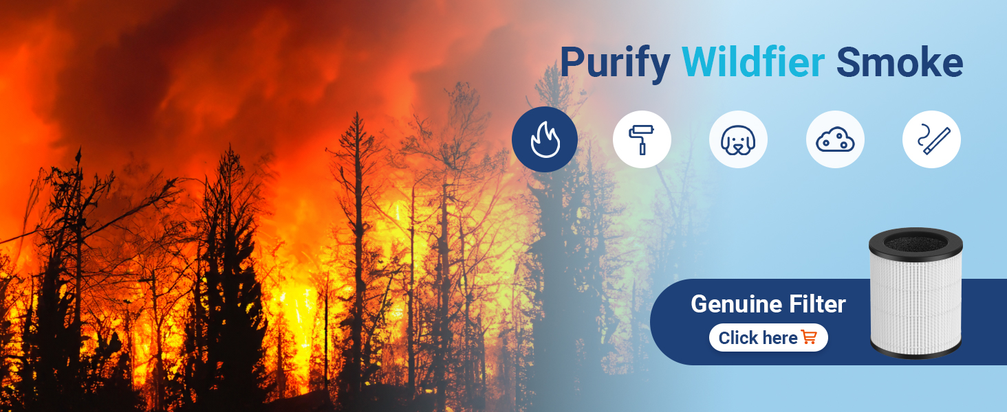 air purifiers for wildfire smoke