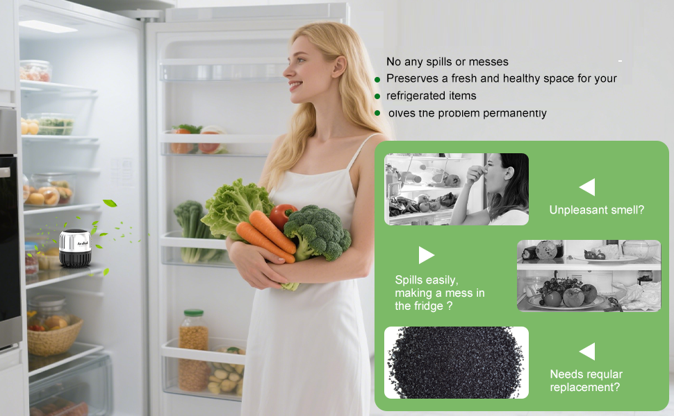 Refrigerater Deodorizer
