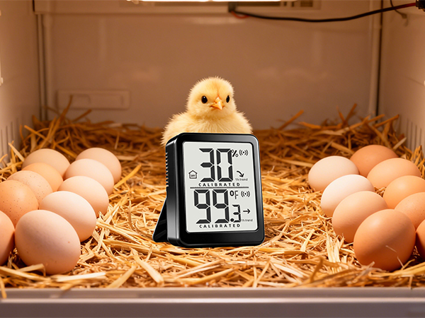 indoor thermometer for room temperature analog