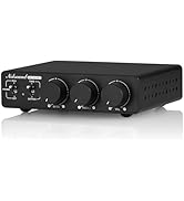 Nobsound 300Wx2 Stereo Amplifier with Phono Input - HiFi Class D Mini Power Amp for Home Theater,...