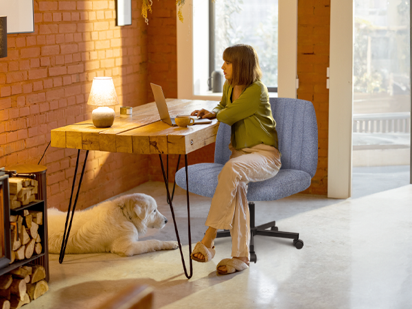 home office chair, living room chair, office chair, conference room chair, vanity chair, salon chair