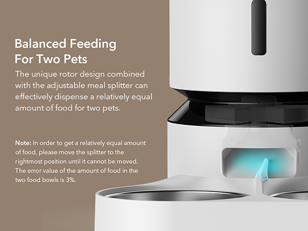 automatic cat feeder for 2 cats